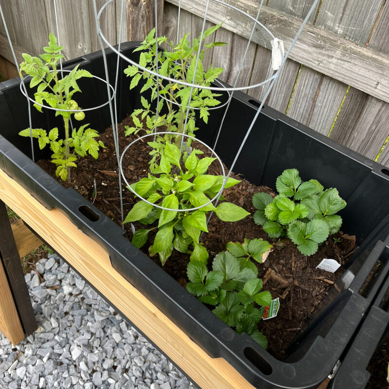 Summer/Fall 2024 Catch – up!